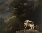 George Stubbs A Lion Attacking a Horse France oil painting artist